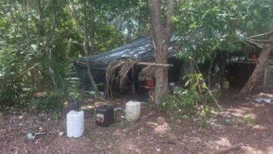 Foto de Em Nova Xavantina, grupo de trabalhadores é resgatado de fazenda de eucalipto em condições degradantes