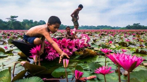 Plataforma Laudato si': Deus escolhe os pequenos para mudar o mundo