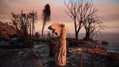 Foto de Papa reza pelas vítimas dos incêndios em Los Angeles