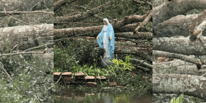 Imagem de Maria intacta após furacão Ida chama atenção nas redes