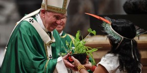 A “Querida Amazônia” e questões diversas